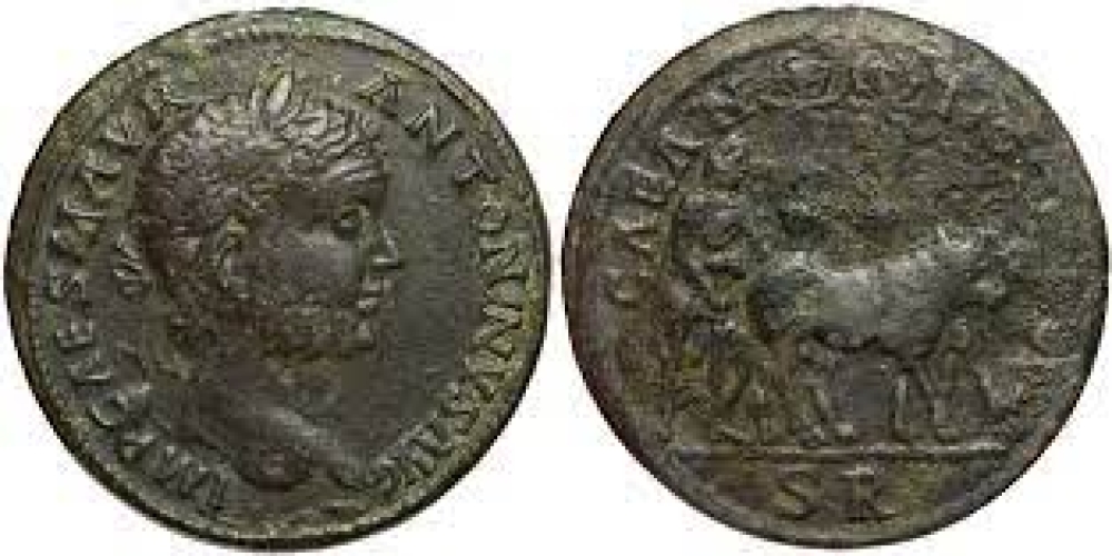 Roman Provincial. Caracalla (AD 198-217). AE 32,5mm of Antiochia in Pisidia.