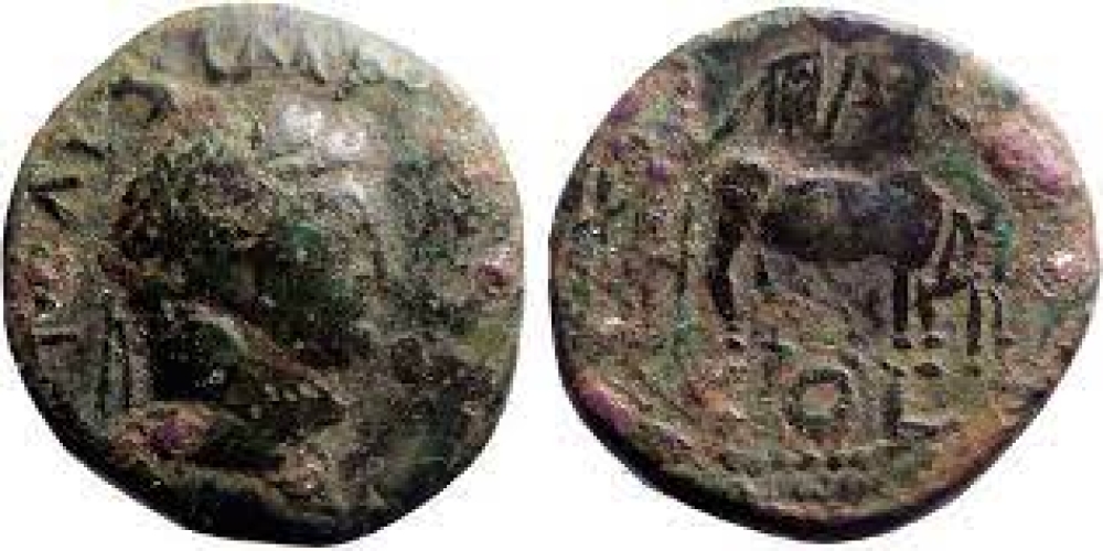 Titus AE20 Pisidia, Antioch. Priest holding vexillum and plowing with yoke of oxen