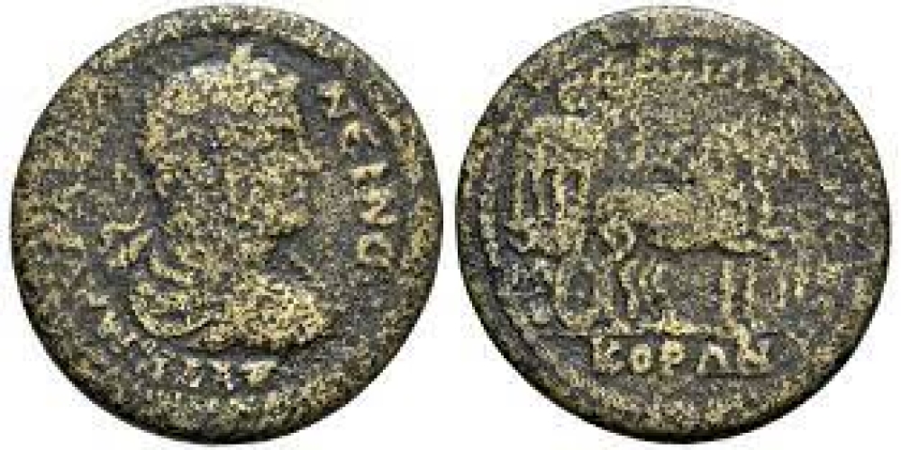 Caracalla (198-217). Ionia, Ephesus. Æ – R/ Carpentum – RARE