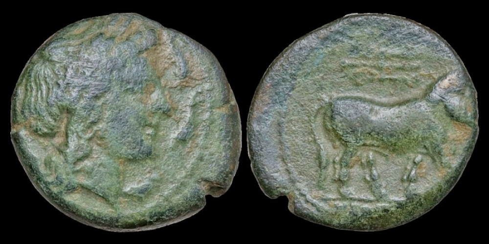 Italy Campania Neapolis AE17 bull to right
