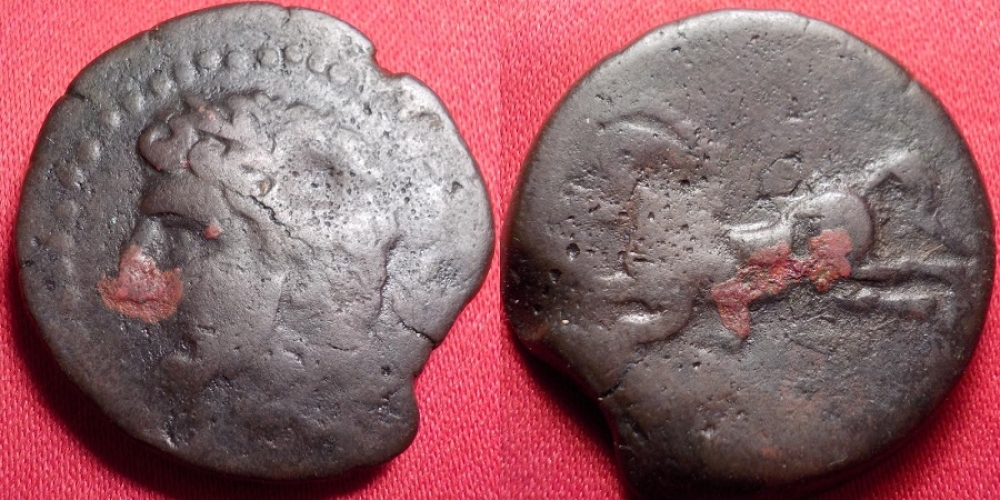 KINGDOM OF NUMIDIA, Micipsa, . Bearded bust, Horse galloping left