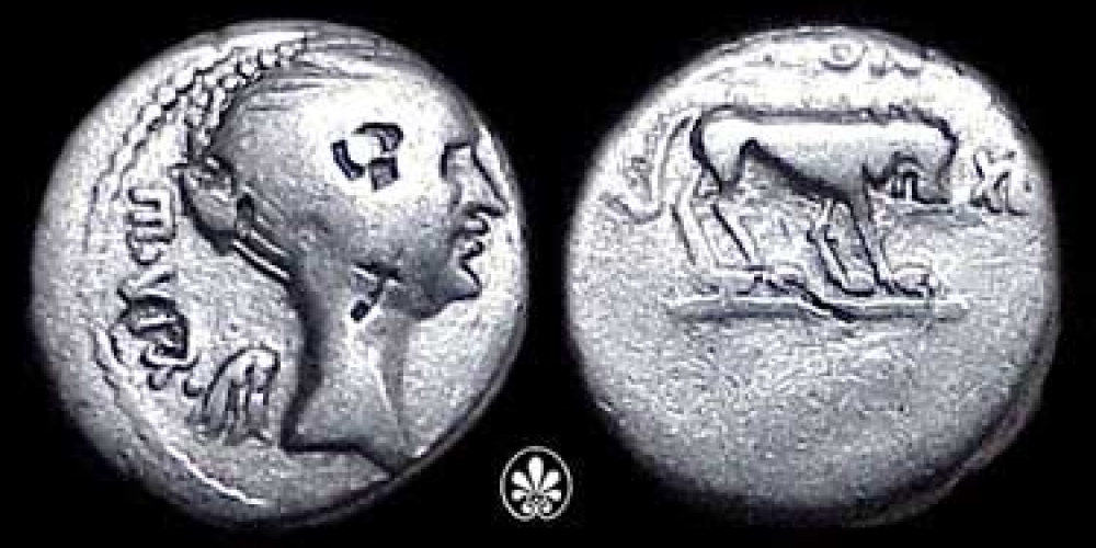 Fulvia, wife of Mark Antony