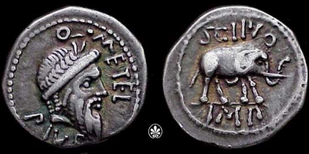 Q. Caecilius Metellus Pius Scipio