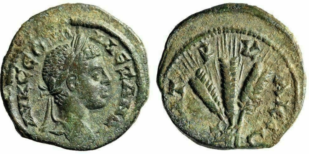 Coin, Cappadocia, Severus Alexander, Æ, 223-224, Caesarea, , Bronze