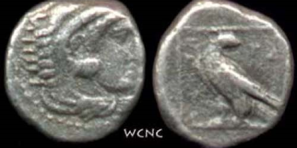 AMYNTAS